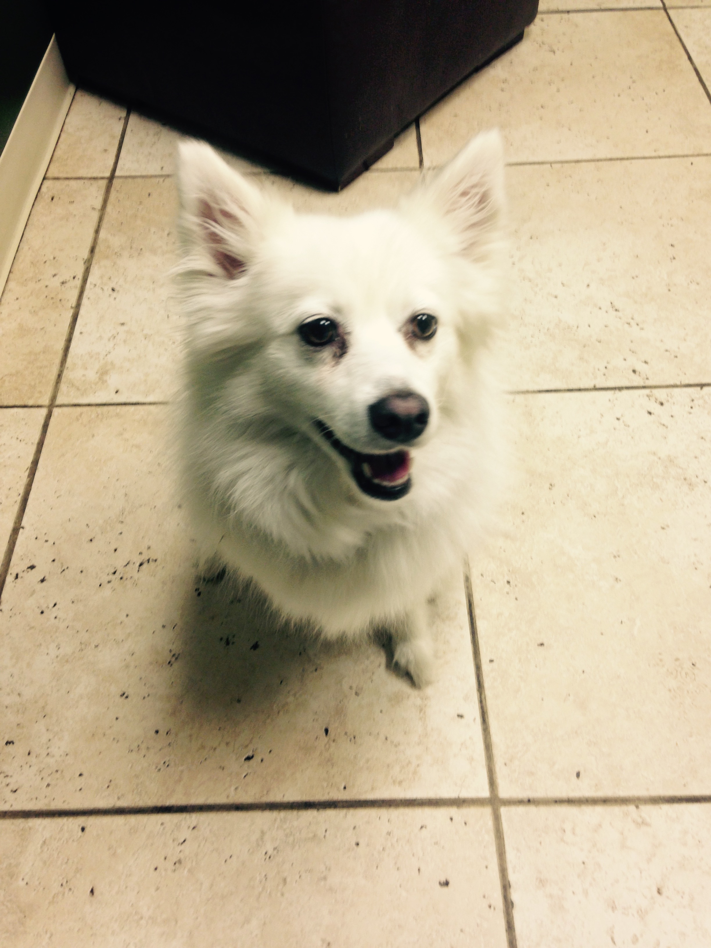 Brecken loving life in Windsor Estates