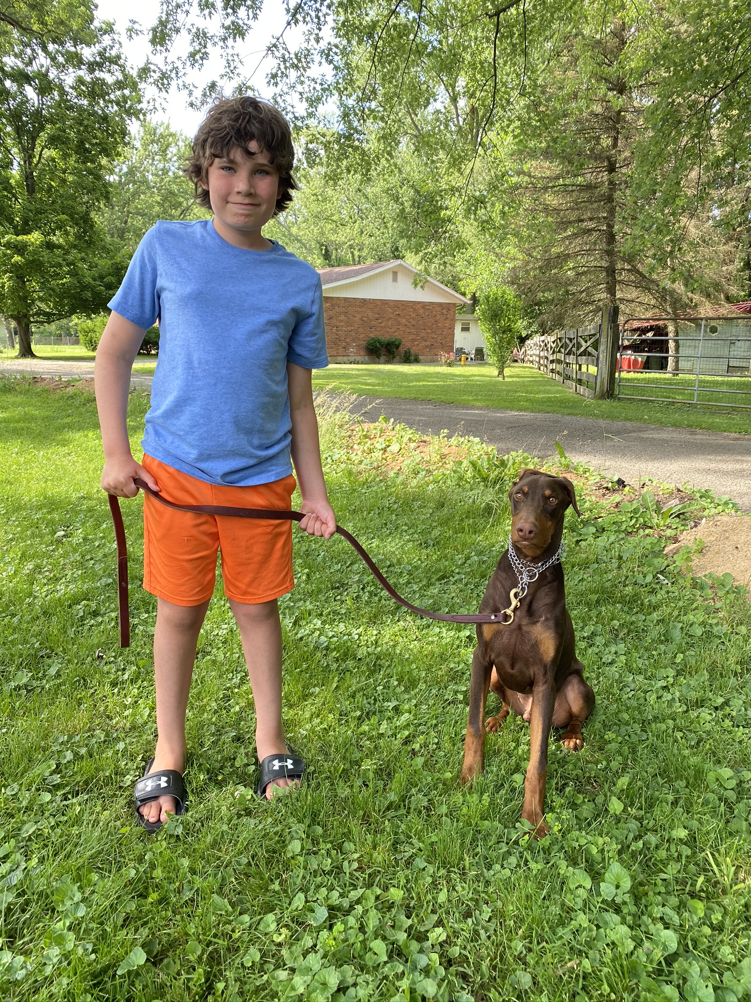 Noah and Chance on a walk together in Windsor Estates